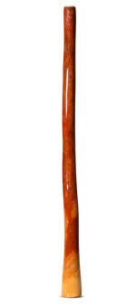 Ironbark Didgeridoo (IB283)
